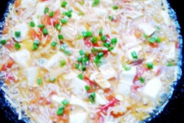 西红柿金针菇烧豆腐的做法图解7