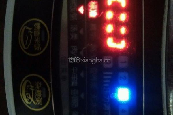 陈皮瘦肉粥的做法图解4