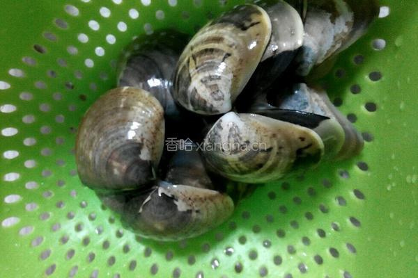 文蛤苦瓜汤的做法图解5