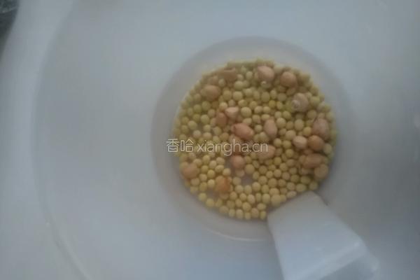 自制营养豆浆的做法图解2