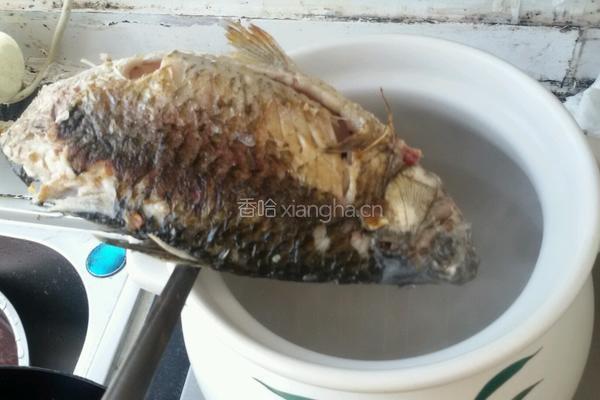 木瓜鲫鱼汤的做法图解7