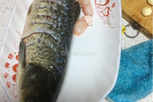 炝锅鱼的做法图解1