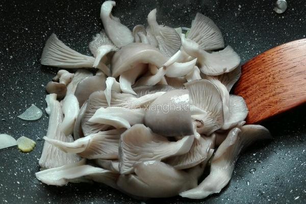 平菇烩豆腐的做法图解8