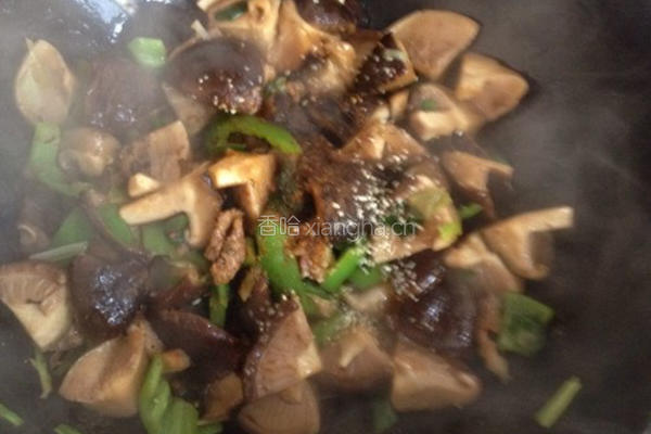 香菇肉片的做法图解4