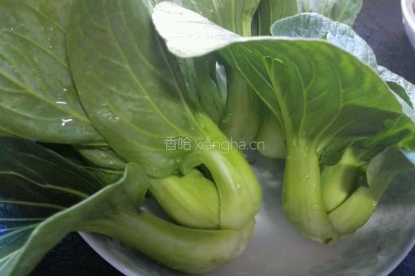 洋葱酥卤肉饭的做法图解6