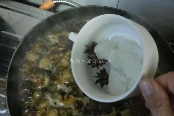 洋葱酥卤肉饭的做法图解22