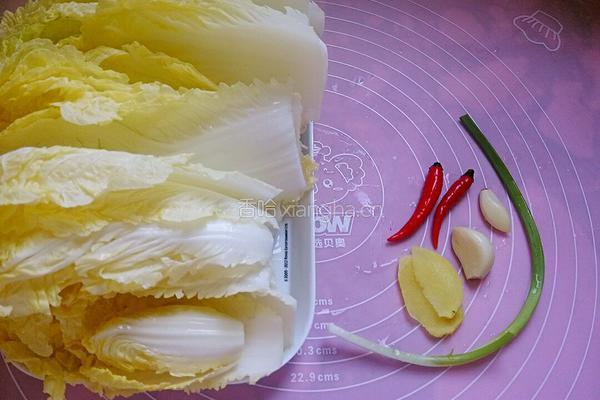 酸辣娃娃菜的做法图解1