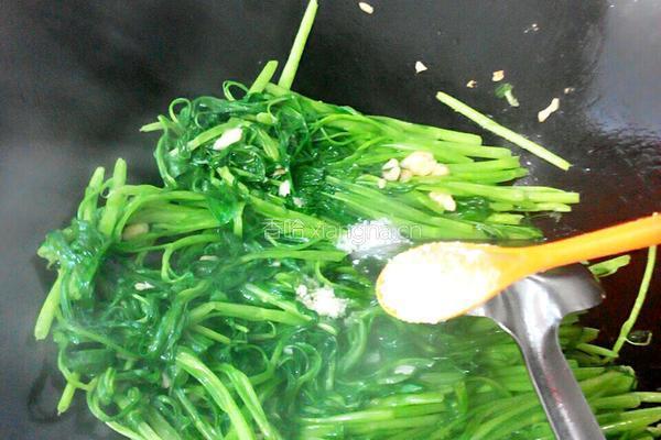 蒜蓉爆炒通心菜的做法图解6