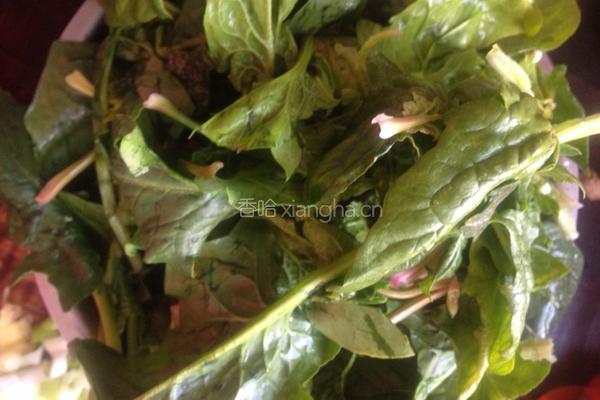菠菜烧丸子的做法图解2