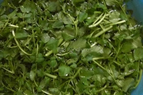 这样煮西洋菜，一人一碟不够吃哦的做法图解1
