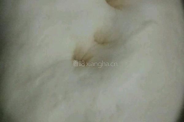 椰香软面包的做法图解4