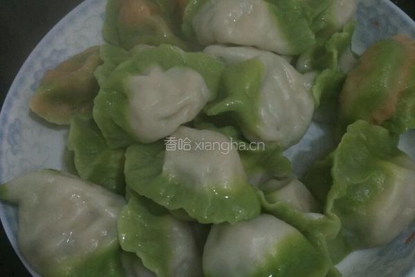 白菜水饺的做法图解14