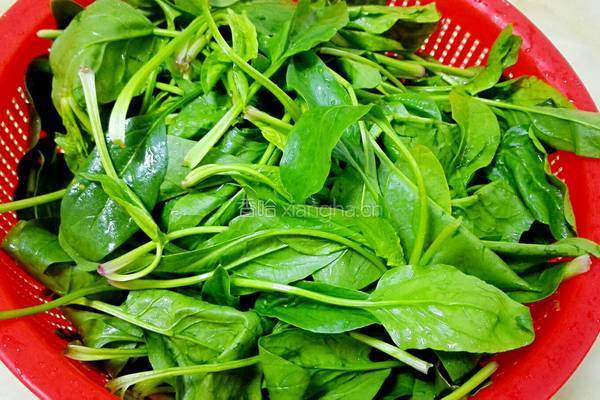 清炒菠菜的做法图解1