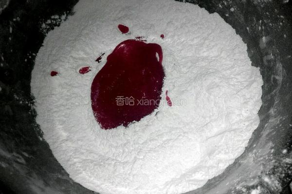 火龙果皮汤圆的做法图解4