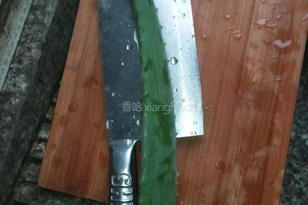 芦荟蜂蜜饮的做法图解1