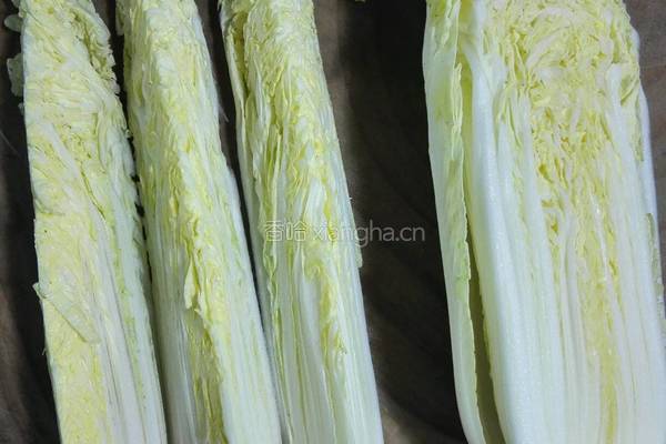 蒜蓉粉丝娃娃菜的做法图解1