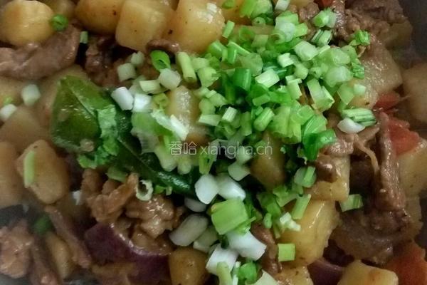 土豆炖牛肉