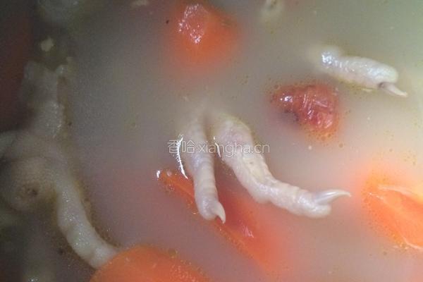 胡萝卜眉豆鸡爪汤