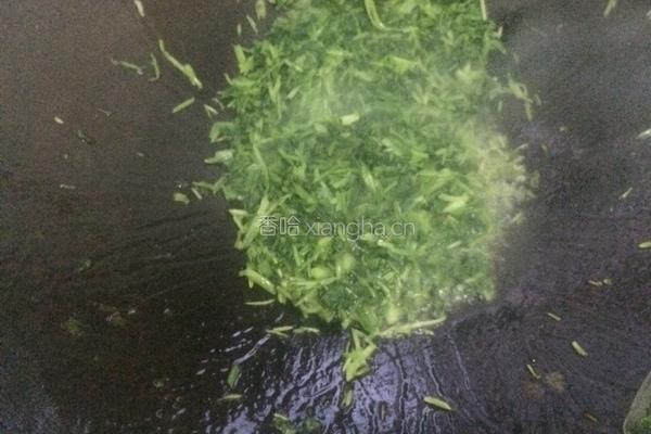 香菜炒鸡蛋的做法图解5