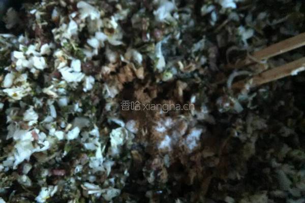 水煎包的做法图解7