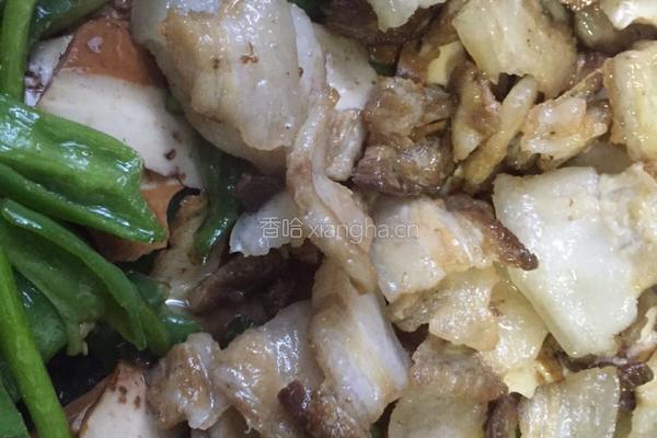 回锅肉的做法图解11