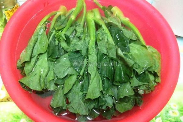 粗粮茶粥的做法图解14