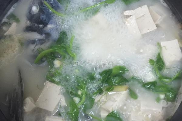 鱼头豆腐煲的做法图解8