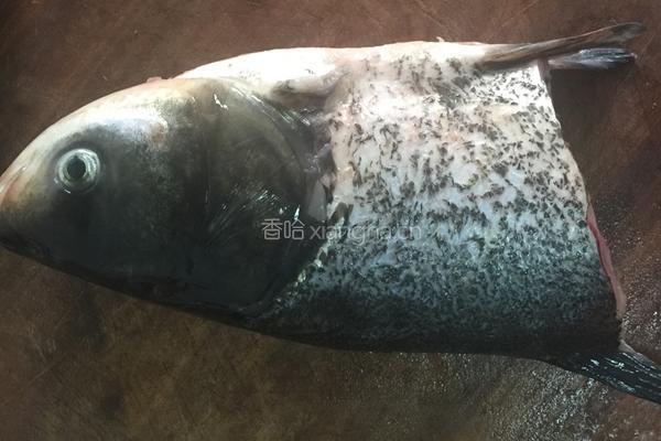 鱼头豆腐煲的做法图解1