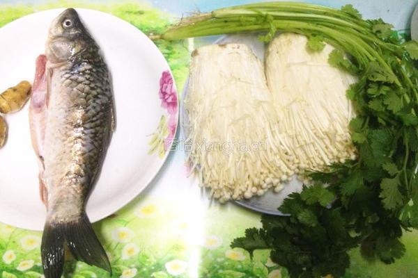 鲫鱼金针菇汤的做法图解1