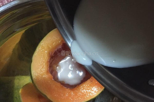 木瓜鲜奶冻的做法图解6