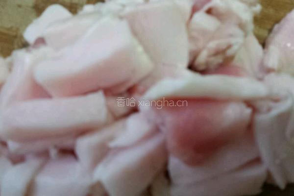 炼猪油的做法图解1