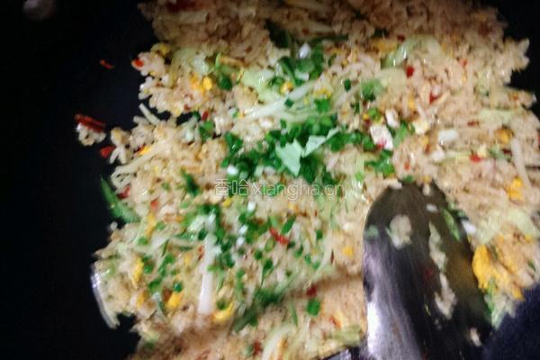 随意炒饭的做法图解6