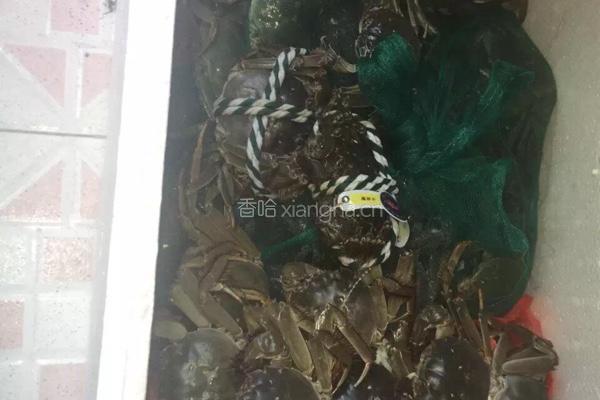十三香毛蟹的做法图解3