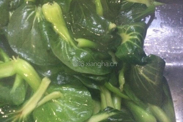 蒜蓉白菜（油淋白菜）的做法图解4