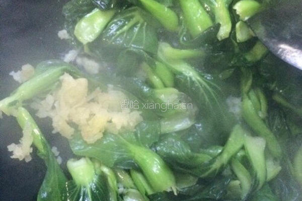 蒜蓉白菜（油淋白菜）的做法图解5