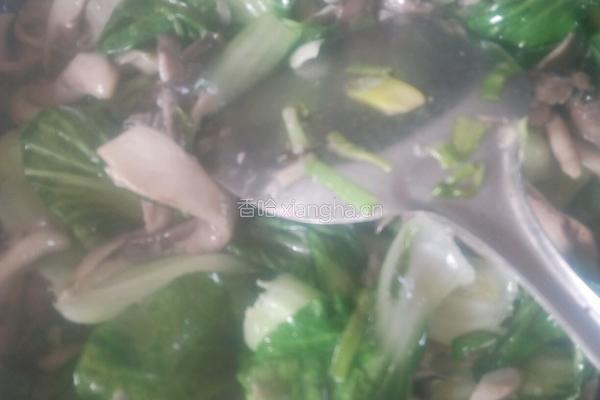 平菇油菜的做法图解7