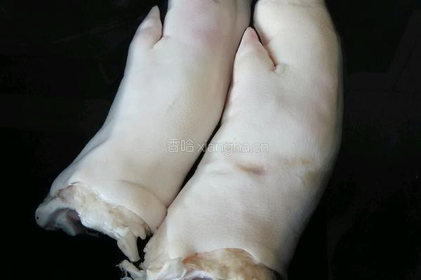 黄豆猪蹄催乳汤的做法图解1