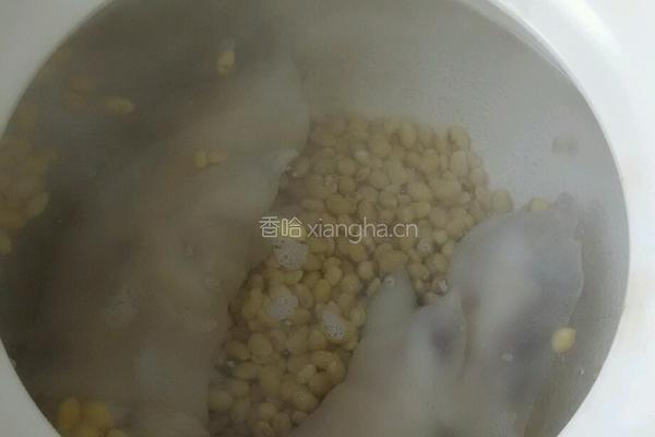 黄豆猪蹄催乳汤的做法图解3