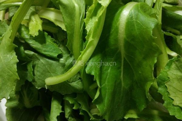 青菜炖豆腐的做法图解3