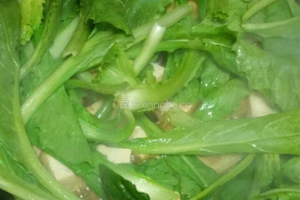 青菜炖豆腐的做法图解8
