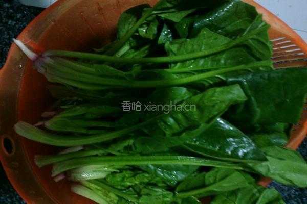 凉拌菠菜的做法图解1