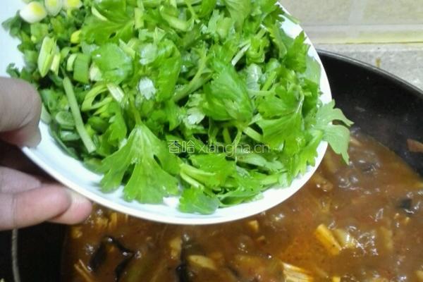 泰椒烩面片的做法图解6