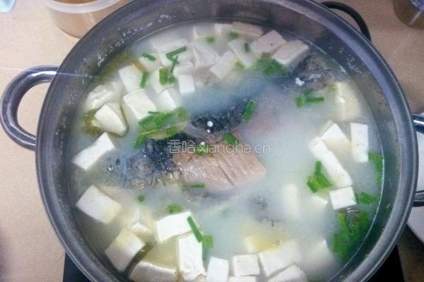 鲫鱼豆腐汤的做法图解6