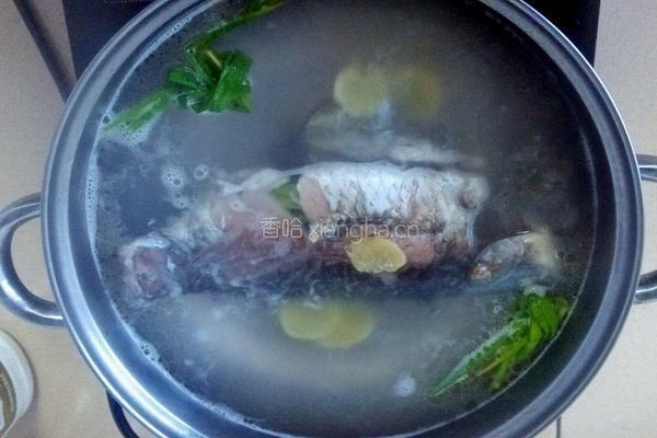 鲫鱼豆腐汤的做法图解4