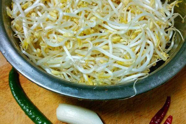 醋呛绿豆芽的做法图解1