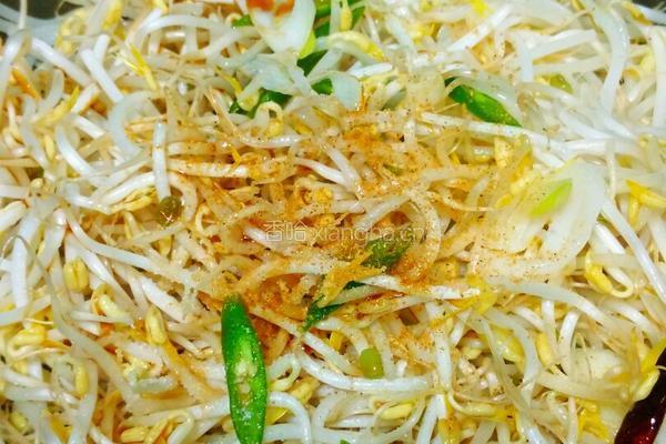 醋呛绿豆芽的做法图解5