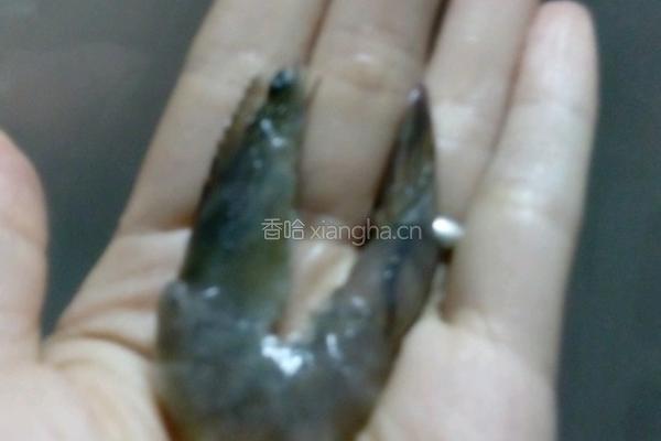 茄汁开背虾的做法图解2