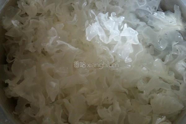 银耳小米粥的做法图解7
