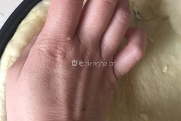 平菇披萨的做法图解9