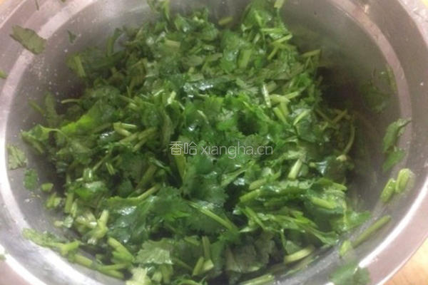 香菜饺子的做法图解3